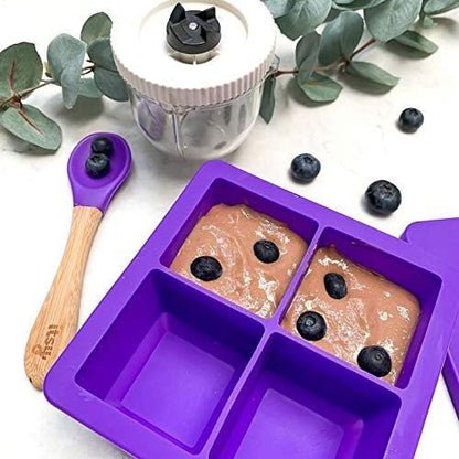 Silicone Baby Snack Box or Ice Cube Tray with Lid Ideal for Freezing & Weaning